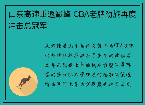 山东高速重返巅峰 CBA老牌劲旅再度冲击总冠军